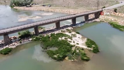 Türkiye'nin en uzun nehrinde toplu balık ölümleri