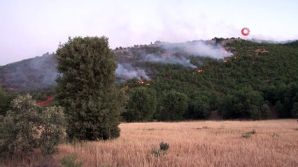 Orman yangınını söndürme çalışmaları çok sayıda ekiple sürüyor