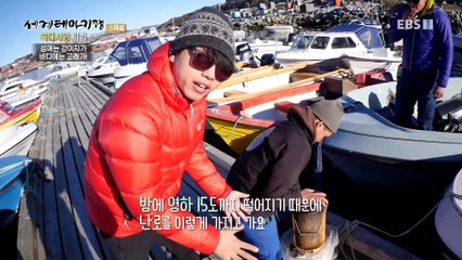 세계테마기행 - 북대서양 탐험- 눈이 부시게, 그린란드_#003