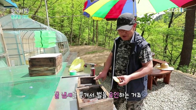 한국기행 - Korea travel_힐링할 지도 1부- 첩첩산중 행복이 오지_#001