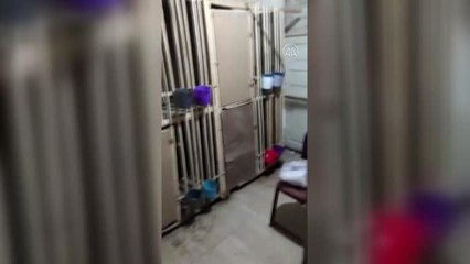 Horoz dövüştürülen iş yerindeki 24 kişiye 32 bin 64 lira ceza verildi