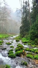 Natural and travel WhatsApp status, amazing places with tamil bgm