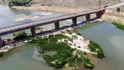 Kızılırmak'ta yaşanan toplu balık ölümleri tedirgin ediyor