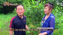 암 극복에 도움을 준 ‘항암 식재료 TOP3’ ✓ TV CHOSUN 210607 방송