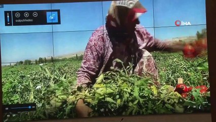 Tarım ve Orman Bakan Yardımcısı Işıkgece: “2020 yılında 1 milyon 300 bin denetim yaptık”