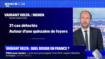 Variant Delta: quels risques en France? BFMTV répond à vos questions (BFMTV)