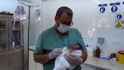 MERSİN - Annesi kabullenmeyince kuvözde büyütülen yavru maymun 'Nisan', doğal ortamına alıştırılıyor