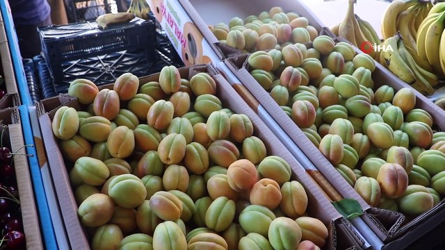 Ünü ülke sınırlarını aşan Malatya kayısısı tezgahtaki yerini aldı