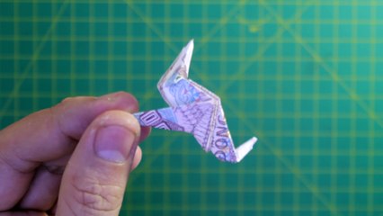 Money origami crow demo - origami money việt nam