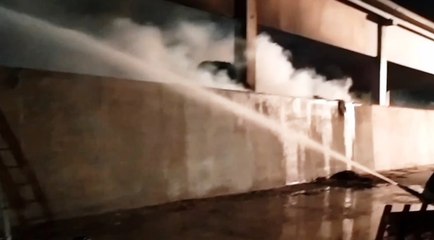 Minerbe (VR) - Incendio in un fienile: salvate 500 mucche in stalla attigua (07.06.21)