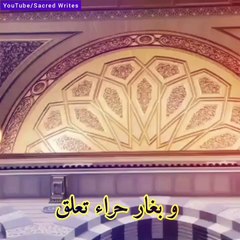 Raqqat Aina Ya Shoqan WhatsApp Status Lyrical Video