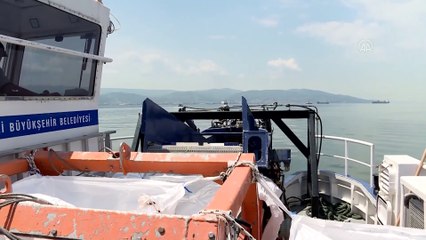 KOCAELİ - İzmit Körfezi'nde müsilaj temizleme çalışmaları sürüyor