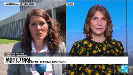 MH17 crash trial moves to crucial merits phase, examining evidence