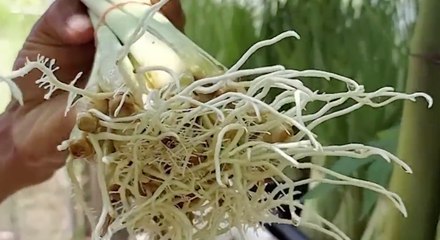 เรื่องพลบค่ำ ช่วงที่ 3 วันจันทร์ที่ 7 มิ.ย.64