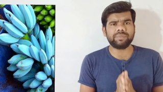 नीले केले ( Blue Banana ) | Anand Arya | INHEAD