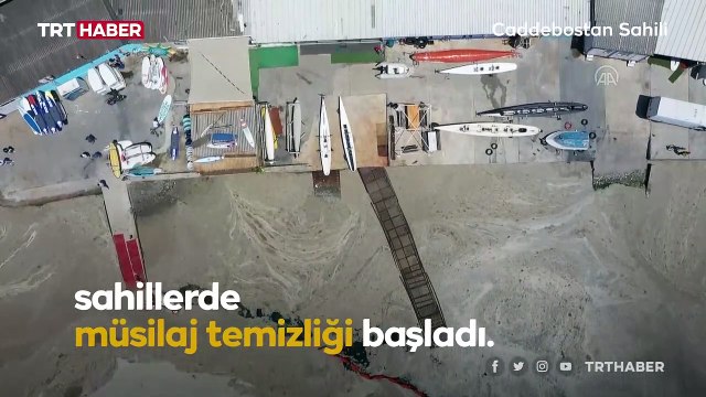 İstanbul sahillerinde müsilaj temizliğine başlandı