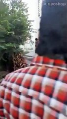 கோவையில் பட்டப் பகலில்.. பட்டா கத்தியுடன் ரவுடி அட்டகாசம்.. வீட்டு கேட்டை உடைக்கும் பரபர வீடியோ