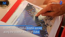 Dubai on the trail of dolphins, porpoises