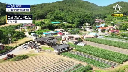 [현장 카메라]간척지 뒤덮는 태양광 패널