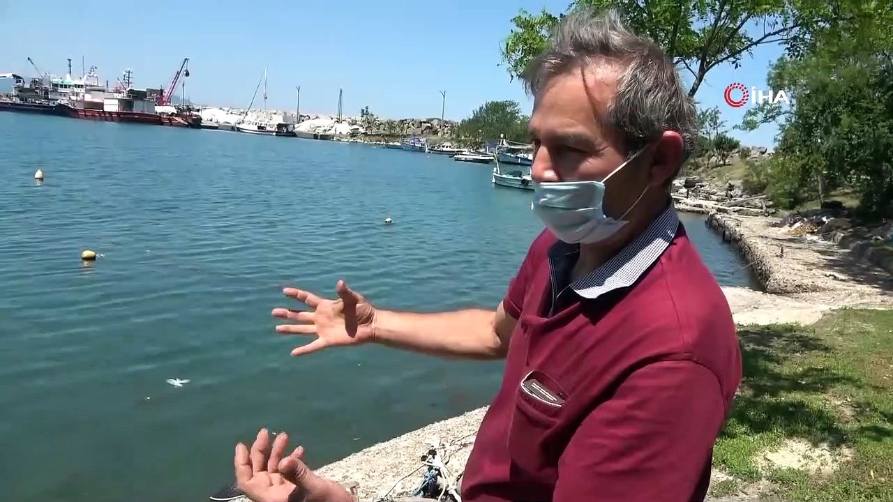 Ordu’daki 'deniz salyası' iddialarına yalanlama
