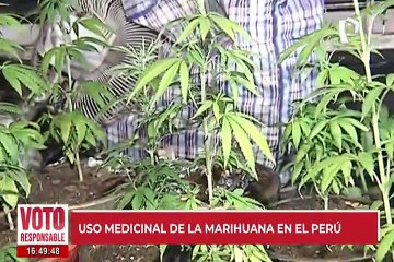 Uso medicinal de la marihuana en el Perú