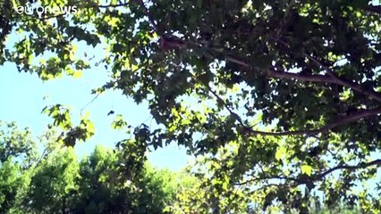 Google une nouvelle fois sanctionné en France pour abus de position dominante