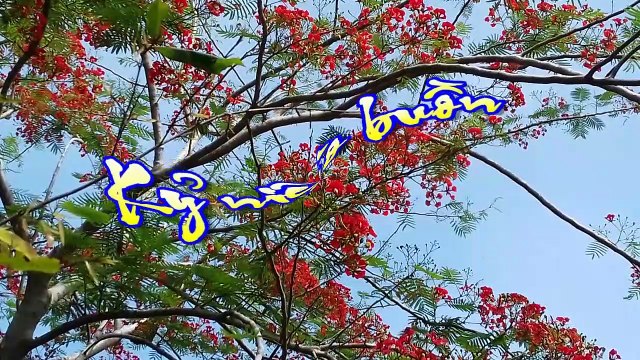 [Karaoke] KỶ NIỆM NÀO BUỒN - Hoài An (Giọng Nam)