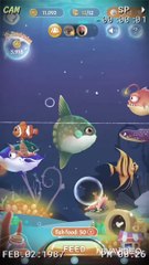 XiaoYing_Video aquarium _HD