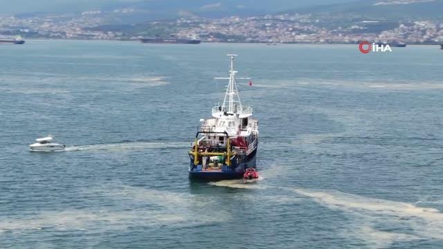 İzmit Körfezi'nde deniz salyası seferberliği... 200 tondan fazla deniz salyası temizlendi
