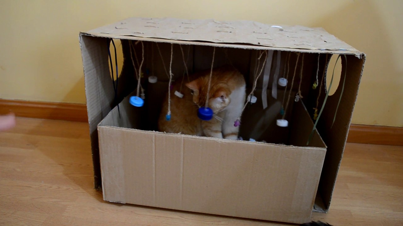 DIY CAJA DE JUEGOS PARA GATOS CASERA, FACIL Y BARATA | JUGUETES CASEROS PARA GATOS | DIY CAT TOYS