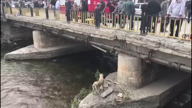 Son dakika haberi! Nehirde mahsur kalan köpeği itfaiye ekipleri kurtardı