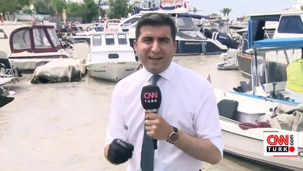 Büyükada da salya tehdidi tehdit altında