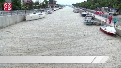 Tải video: Kadıköy Kurbağlıdere ile sahilleri deniz salyası kapladı: Ekipler temizlik çalışması yaptı