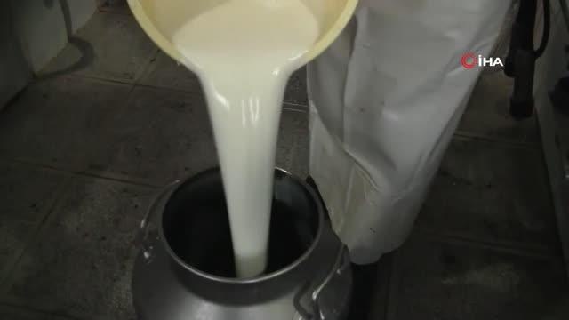 Gıda kaynaklı hastalıklar her yıl 400 bin kişiyi öldürüyor