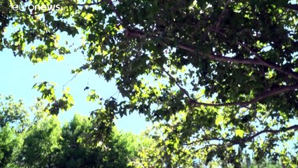 Multa de 220 millones de euros a Google en Francia por abuso de posición dominante