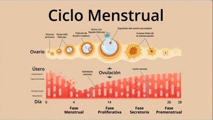 bd-sangrados-vaginales-fuera-del-periodo-menstrual-070621