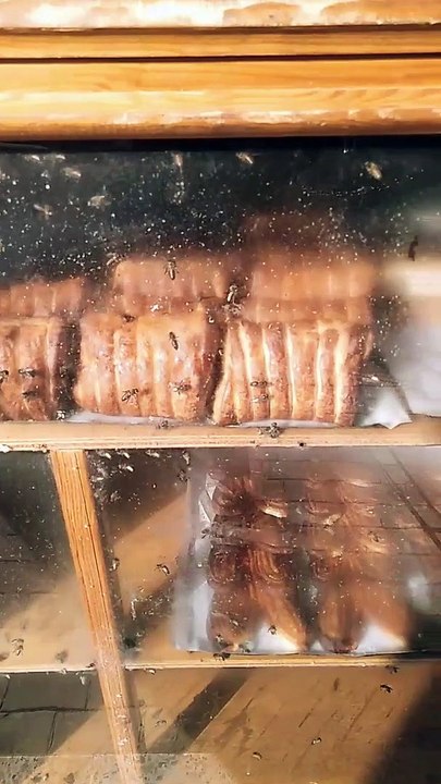 Massacre d'abeilles.  مهلكة للنحل