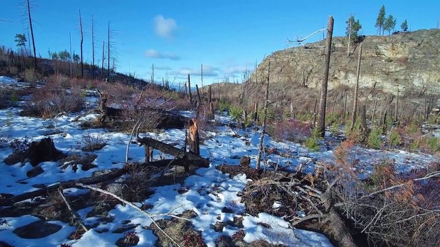 Páramo - The Beat Messengers | HipHop Instrumental | Rap Freestyle Beat