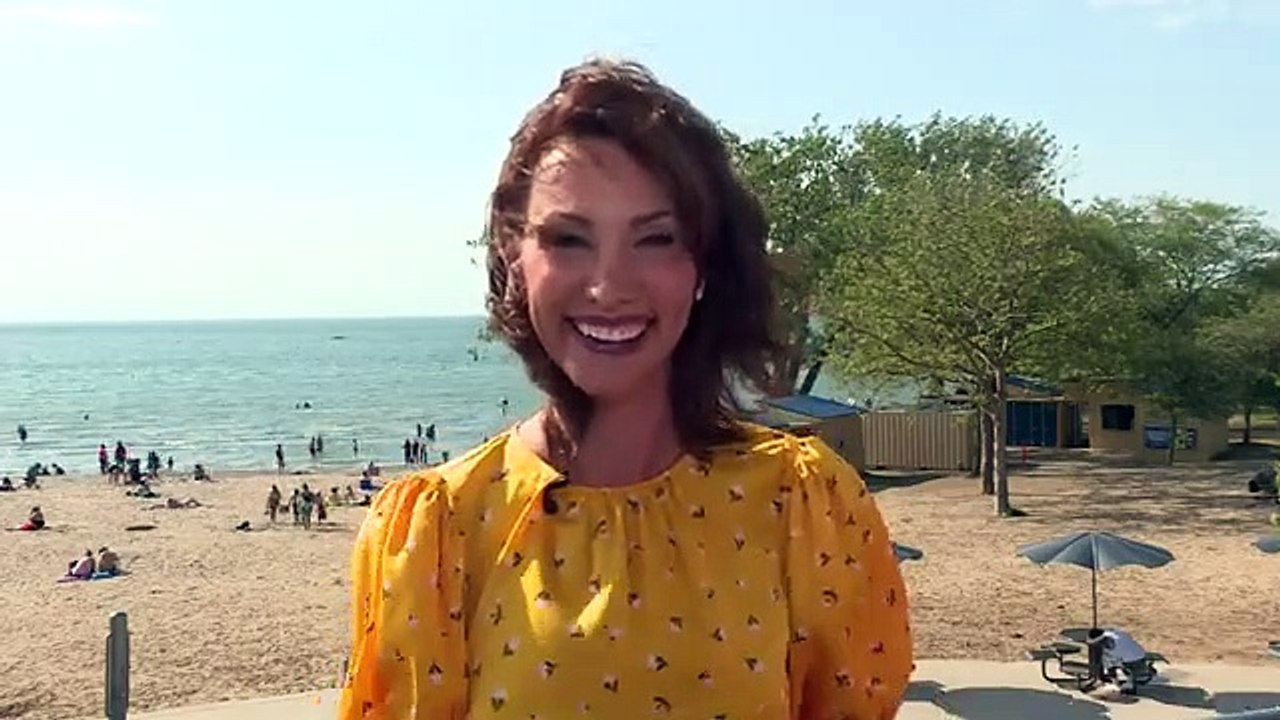 Dog swims through pool filter to get out of water