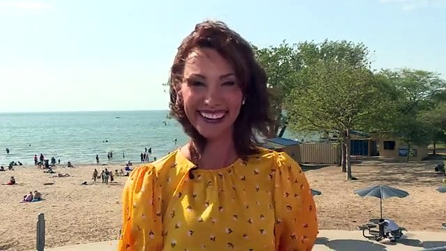 Dog swims through pool filter to get out of water