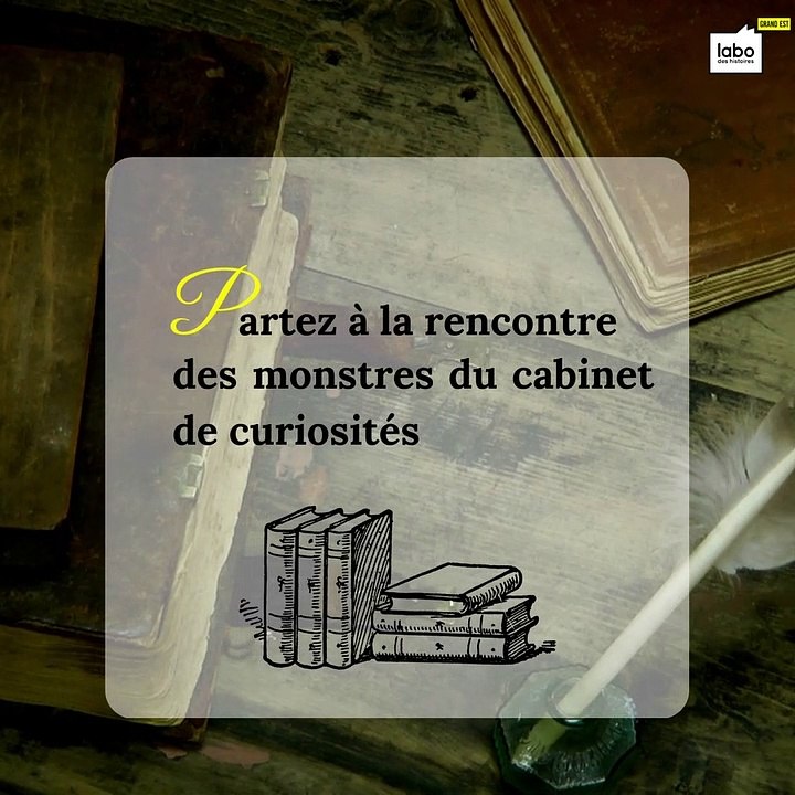 Une Vie de Château -  cabinets de curiosités