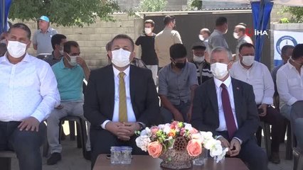 Şahinbey'den çiftçilere silajlık mısır desteği