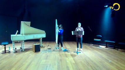 Sujet: Examen d'attestation de formation artistique entre une flûte et une harpe électrique