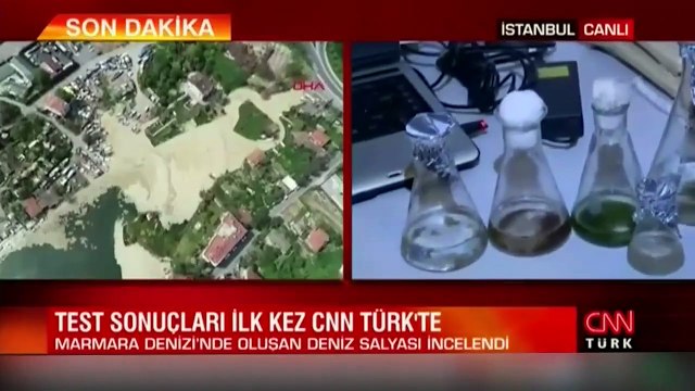 İlk test sonuçları ortaya çıktı: Müsilaj (deniz salyası) neden oluyor?