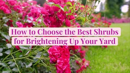 How to Choose the Best Shrubs for Brightening Up Your Yard