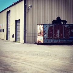 Black Bear Family Foraging in Tall Dumpster
