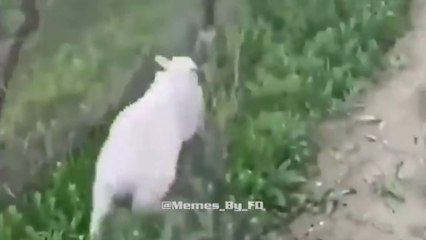 Mission Failed We'll Get Em Next Time