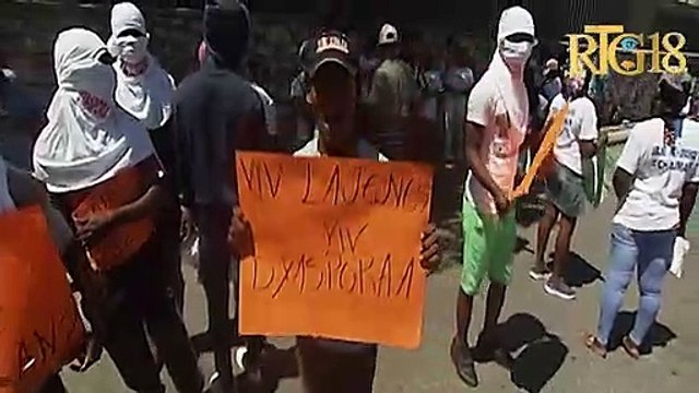 Mach pasifik Plizyè òganizasyon popilè pou mande entegrasyon dyaspora yo nan lavi politik peyi a.