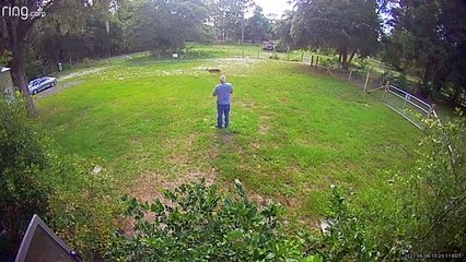 Aggressive Deer Chases Down Two Dogs in Yard