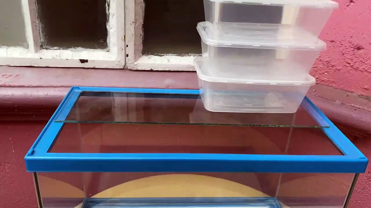 Trickle Filter Diy  For Aquarium The Best Aquarium Top Filter...